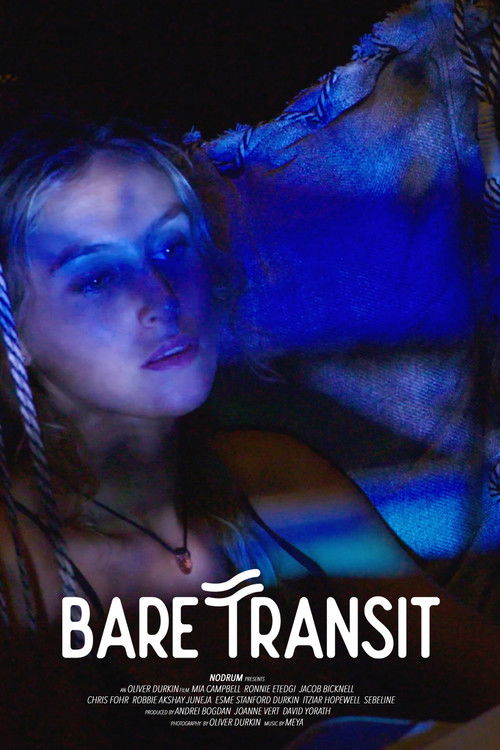 Bare Transit (2020) poster