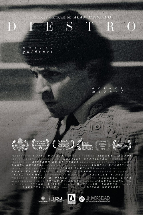 Diestro poster