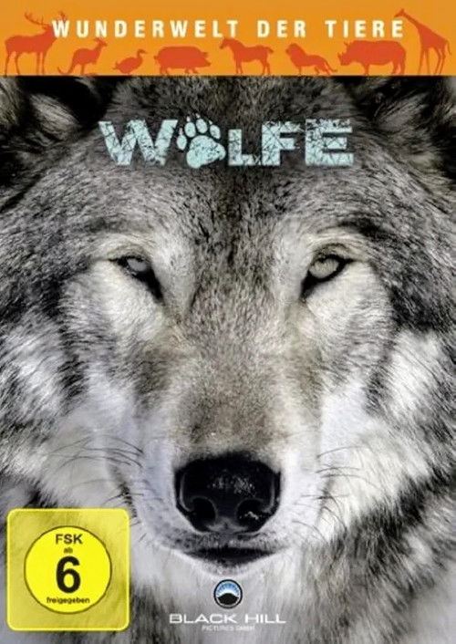 Wunderwelt der Tiere - Wölfe (2011) poster