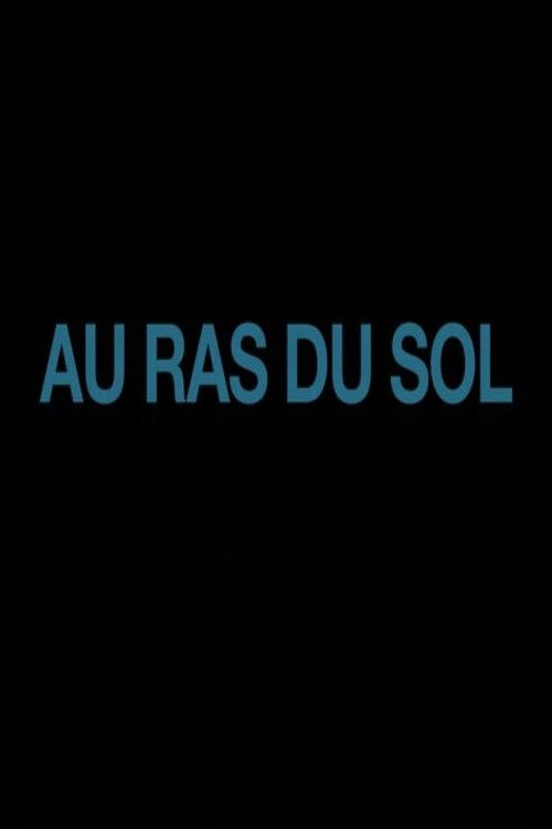 Down on the Ground (2012) poster