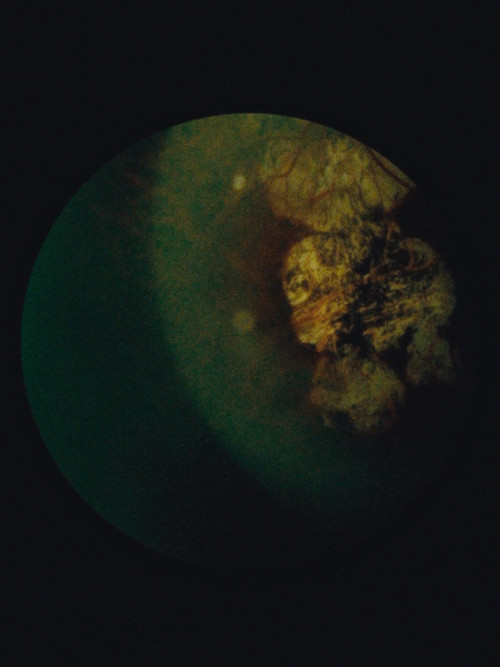 Immaculate Generations no. 1 (2022) poster