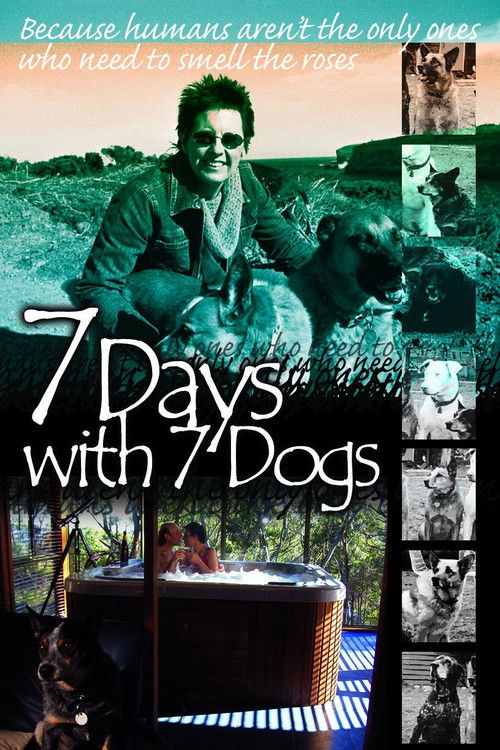 7 Days with 7 Dogs (2007) poster