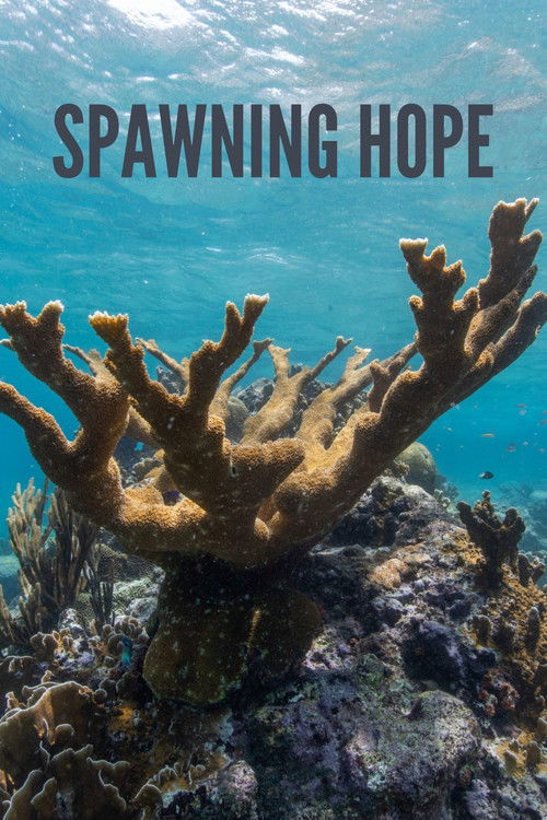 Spawning Hope (2020) poster