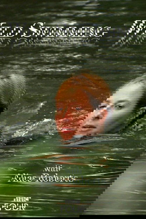 Wild Swimming (2010) poster