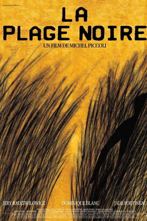 La Plage noire (2001) poster