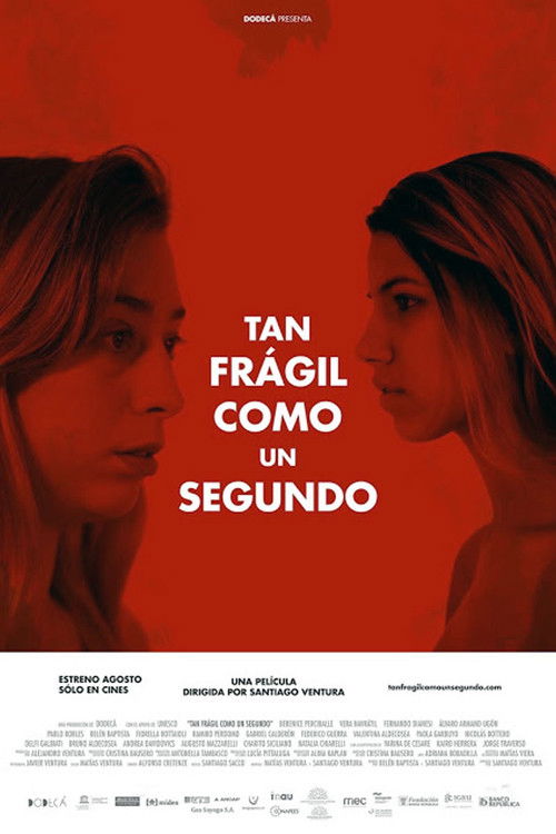 Tan frágil como un segundo (2014) poster