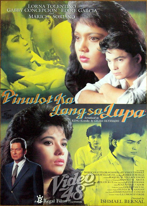 Pinulot Ka Lang sa Lupa (1987) poster