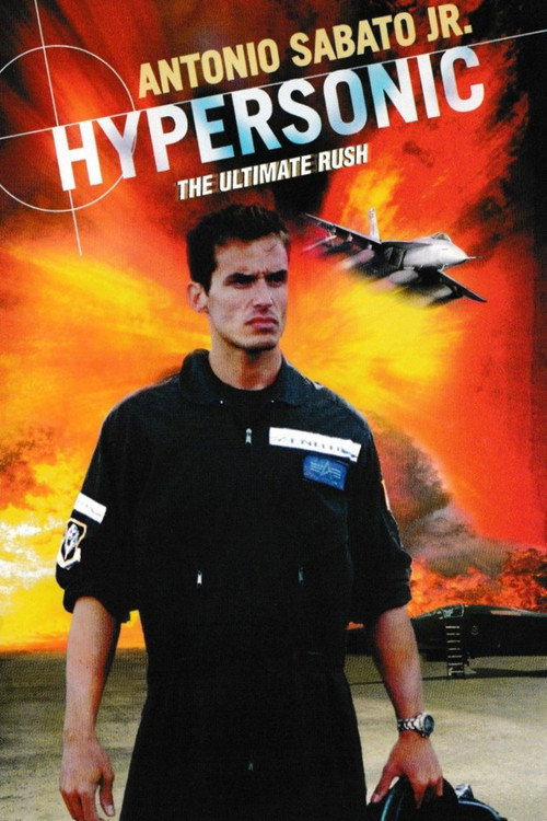 İt Dalaşı (2002) poster