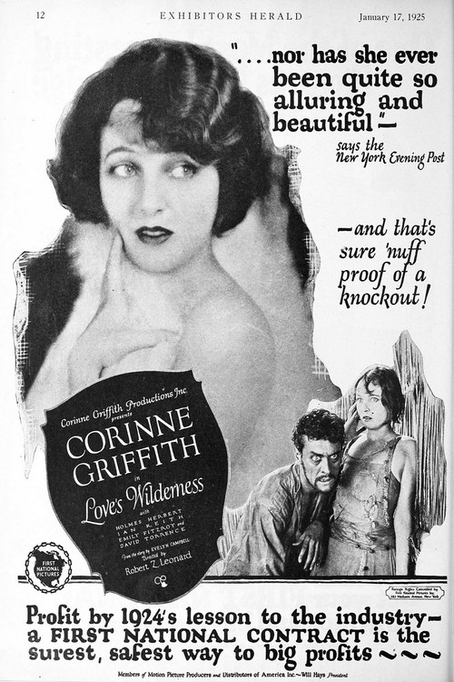 Love's Wilderness (1924) poster