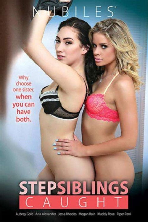 Step Siblings Caught (2016) poster