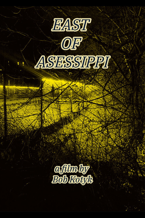 East of Asessippi (2025) poster