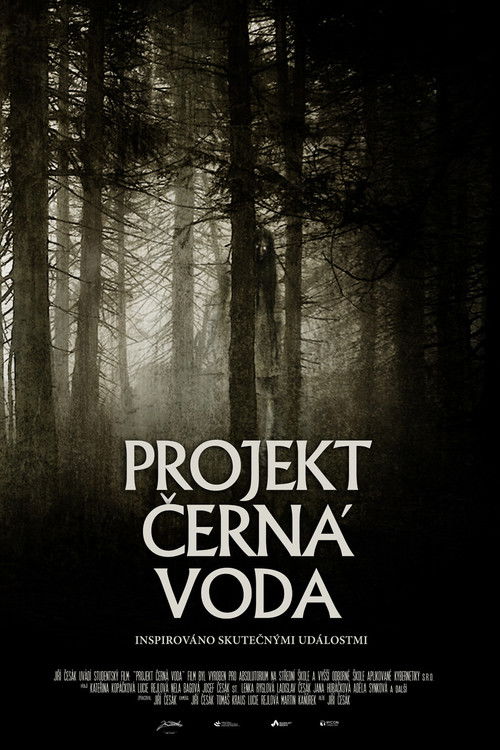 Projekt Černá Voda (2015) poster