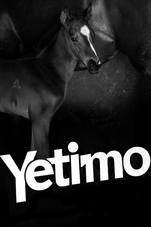 Yetimo (2024) poster