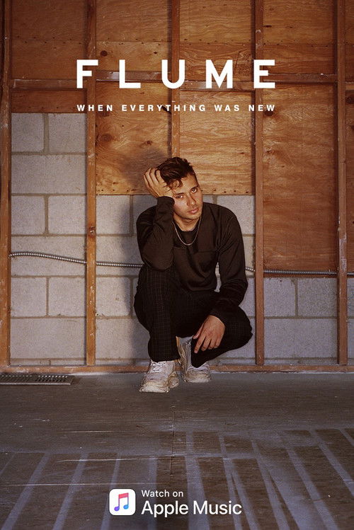 Flume: When Everything Was New (2018) poster