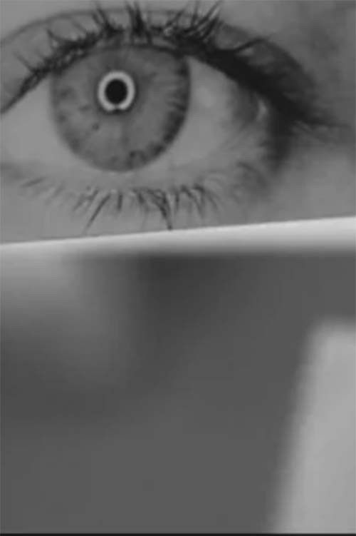 Retrato nº 2. Cuaderno de ensayos (2005) poster