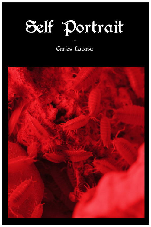 Self Portrait (2024) poster