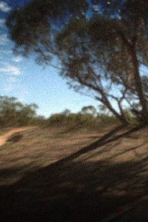 Coorow-Latham Road (2011) poster