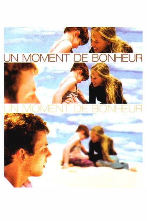 A Moment of Happiness (2002) poster