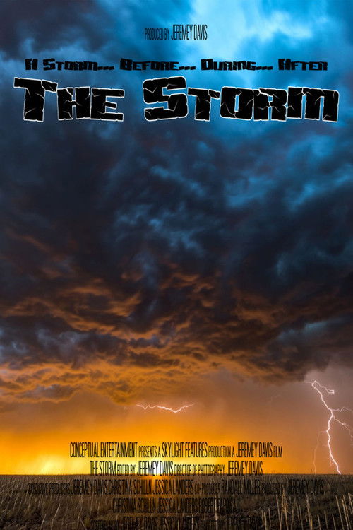 The Storm (2007) poster