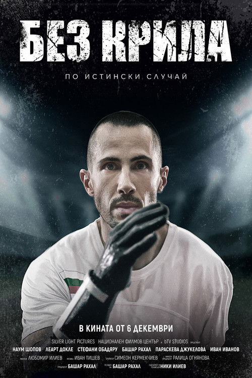 Wingless (2024) poster