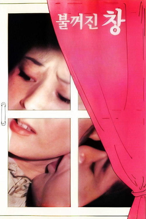 불꺼진 창 (1976) poster