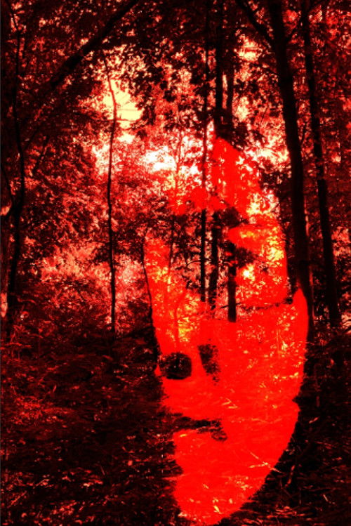 The Fuckee's Hymn (2023) poster