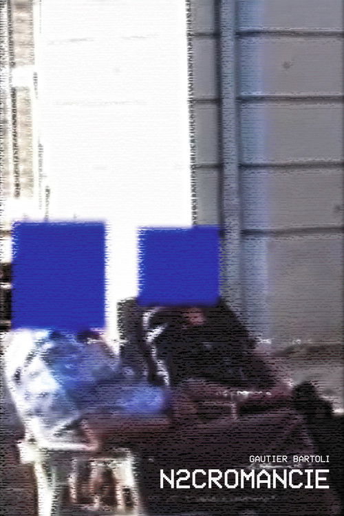 N2CROMANCY (2025) poster