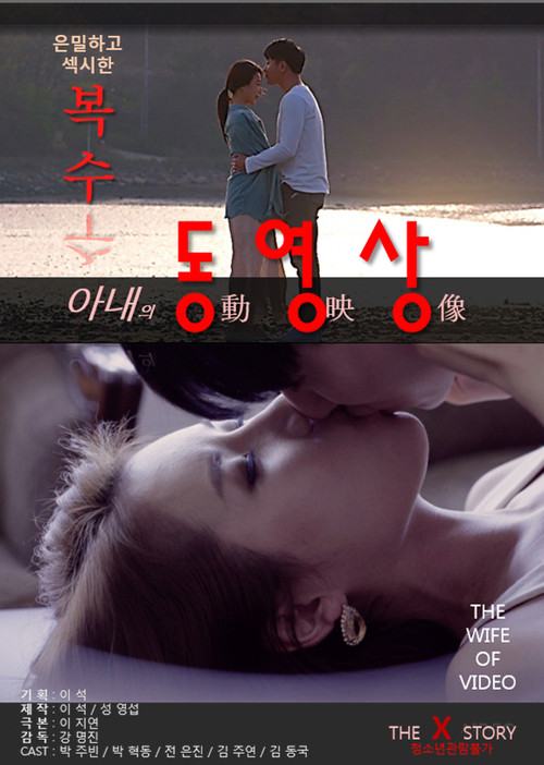 My Wife's Videos (2017) poster