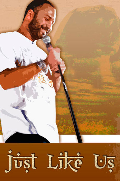 Just Like Us (2011) poster