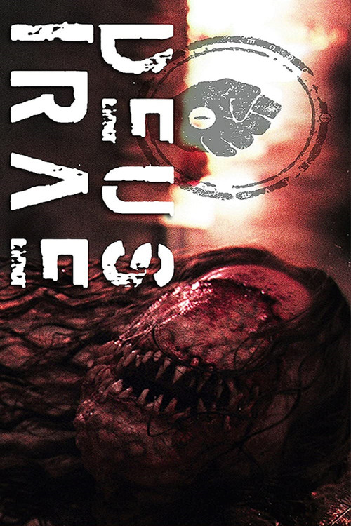 Tanrı'nın Gazabı (2010) poster