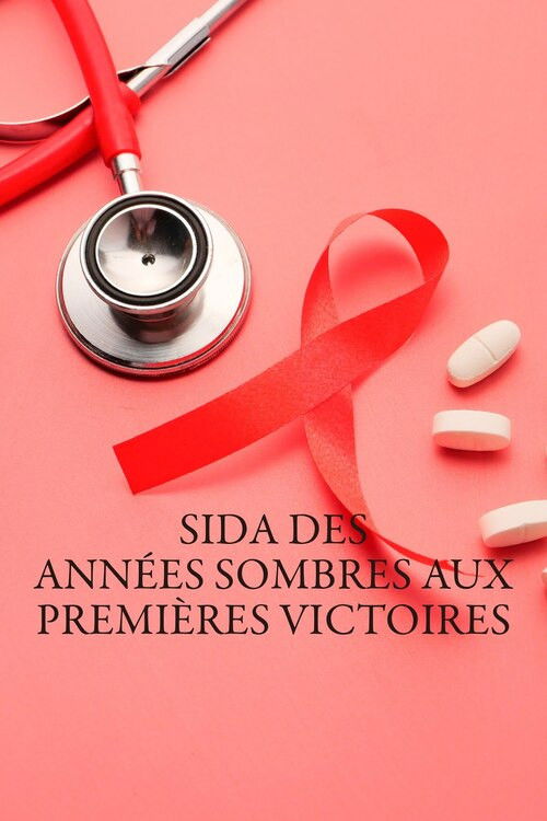 Sida, des années sombres aux premières victoires (2023) poster