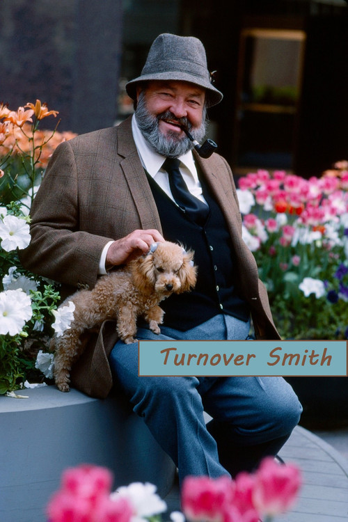 Turnover Smith (1980) poster