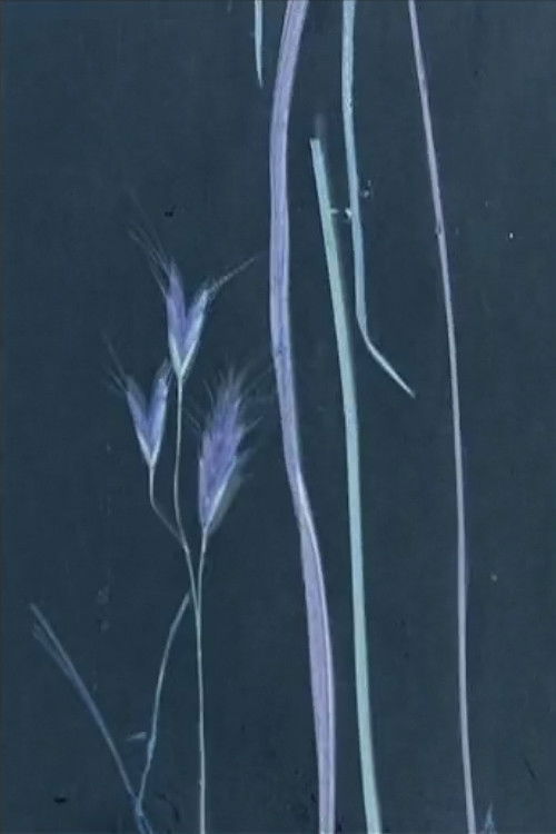 I follow rivers (2017) poster