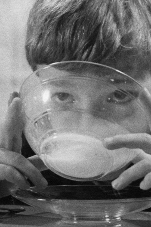 Switzerland Ponders (1964) poster