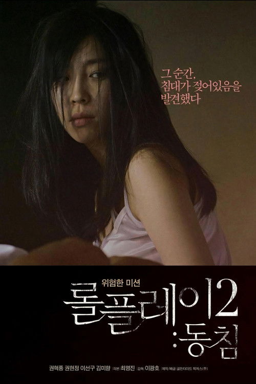 롤플레이 2: 동침 (2013) poster