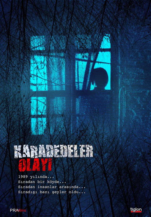 The Karadedeler Incident (2011) poster