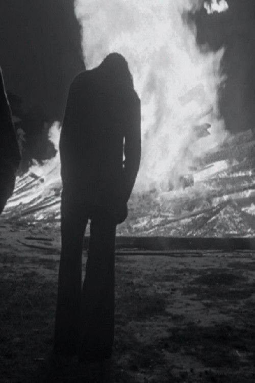 Jaanipäev (1978) poster