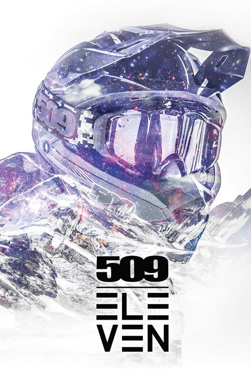 509 Films: Volume 11 (2016) poster