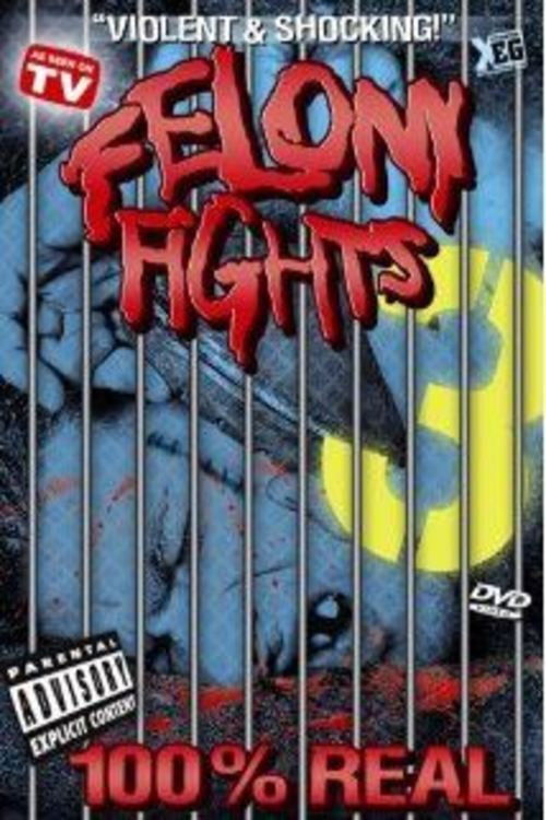Felony fights 3: 3rd Strike (2005) poster