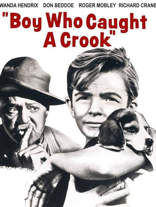 Boy Who Caught a Crook (1961) poster