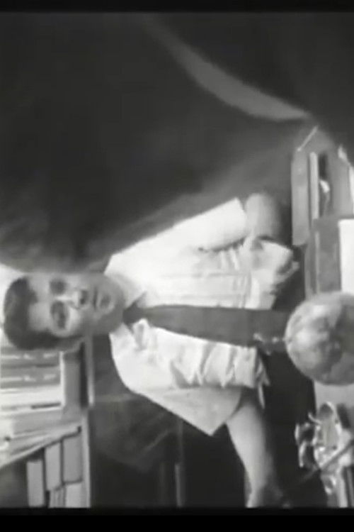 Who Shot Alexander Hamilton (1974) poster