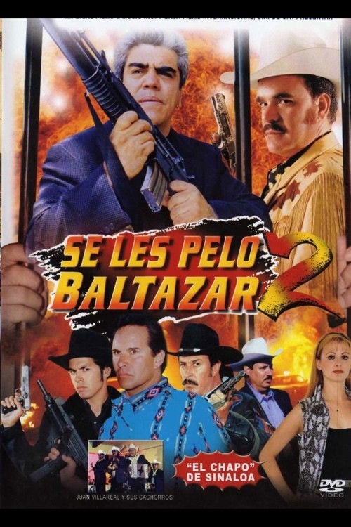 Se les pelo Baltazar 2 (2000) poster