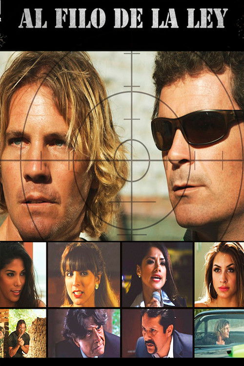 Al filo de la ley (2015) poster