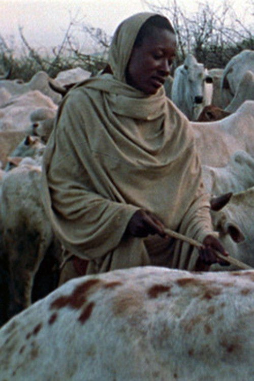 Boran Herdsmen (1974) poster