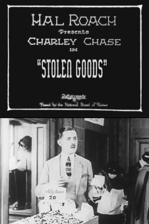 Stolen Goods (1924) poster