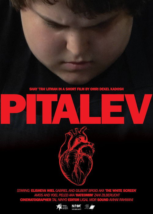 Pitalev (2018) poster