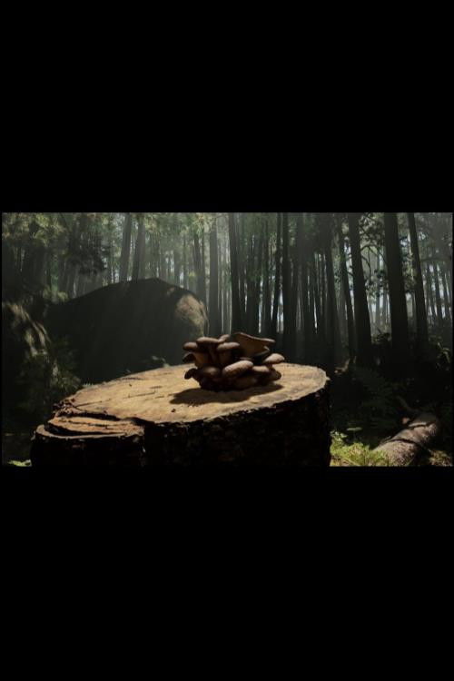 Forager (2023) poster