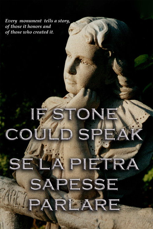 If Stone Could Speak (2008) poster