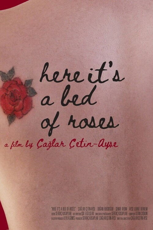 Here It's a Bed of Roses (2023) poster