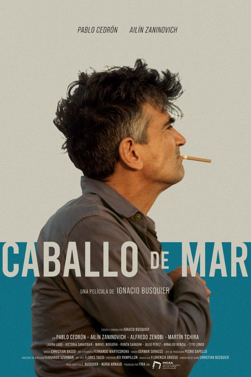 Caballo de mar (2020) poster